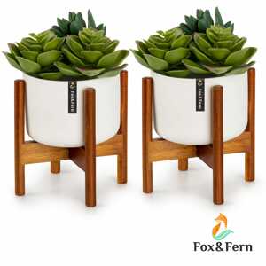 Fox & Fern Thorn, virágcserép állvánnyal, 2 darabos készlet, 1950-es évek stílusa